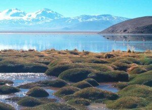 nevadotrescruces