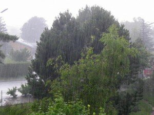 Canal Azul 24 Deforestación reduce las lluvias en los trópicos