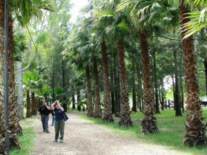 Canal Azul 24 Productores rurales promueven alternativas para el manejo de los bosques argentinos