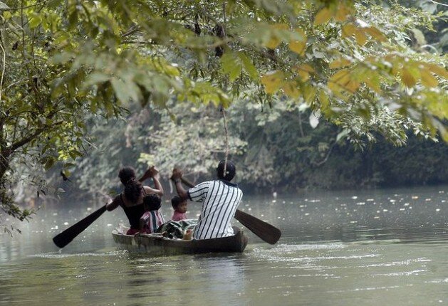 Canal Azul 24 Si quieres conservar la biodiversidad protege América Latina